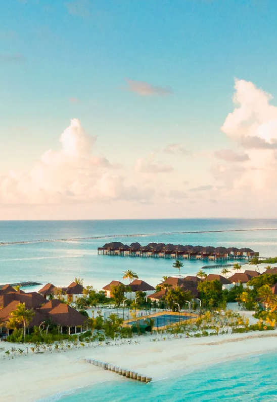 South India Hotels 15% Off